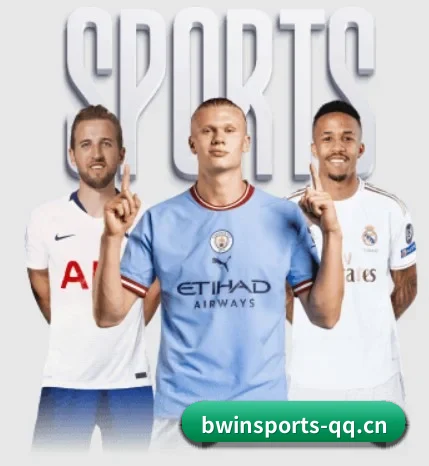 平台简介 - 体育资讯内容服务(BWIN SPORTS)